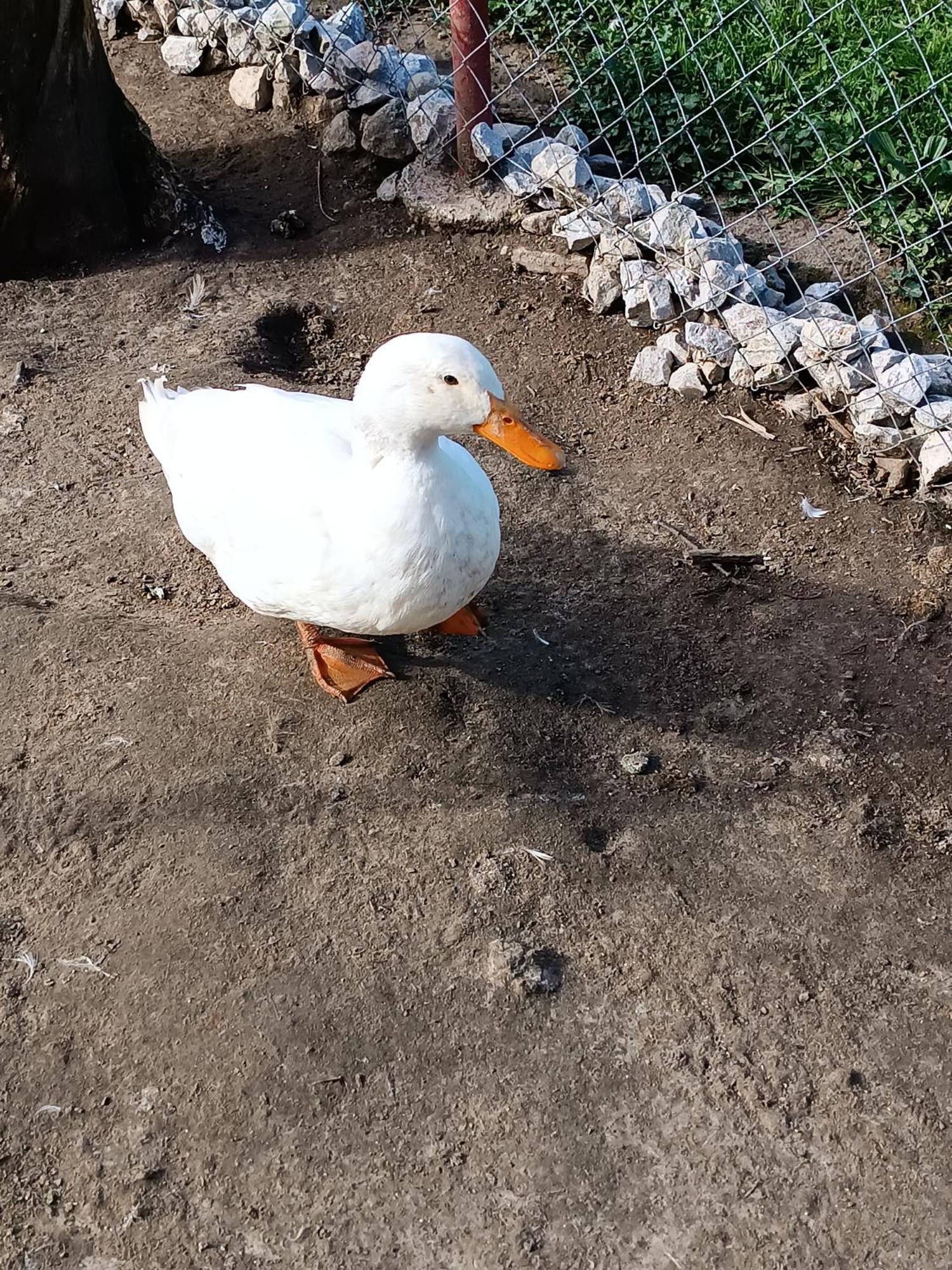 Alojamiento Cabarceno Aguero  Buitenkant foto